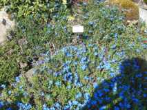 DSCN2276
