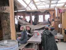 IMG 6265